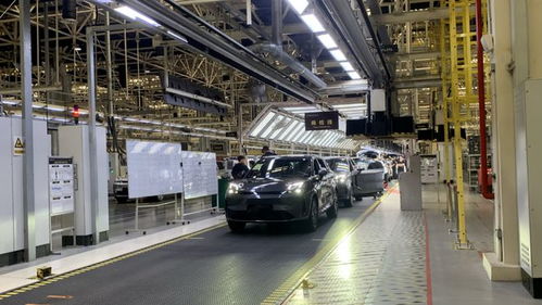 余姚汽車產業強勢崛起 汽車銷售額激增44.98%，裝飾配件需求同步攀升