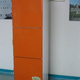 智能電子鞋柜 功能、代理、批發與廠家全解析